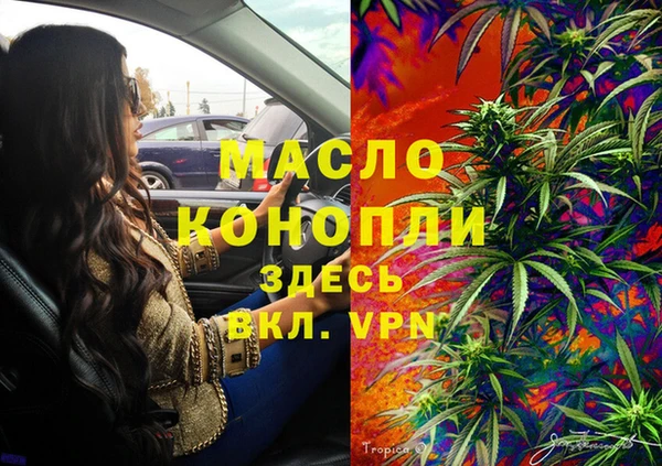 дживик Белокуриха