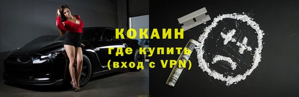 дживик Белокуриха