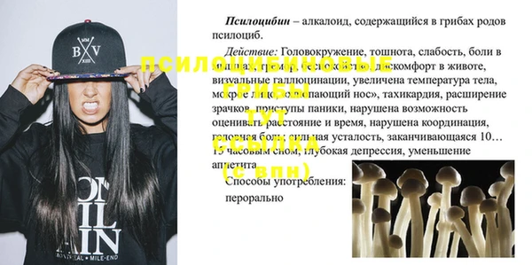 дживик Белокуриха