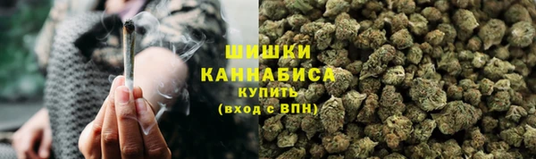 дживик Белокуриха