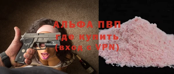 дживик Белокуриха